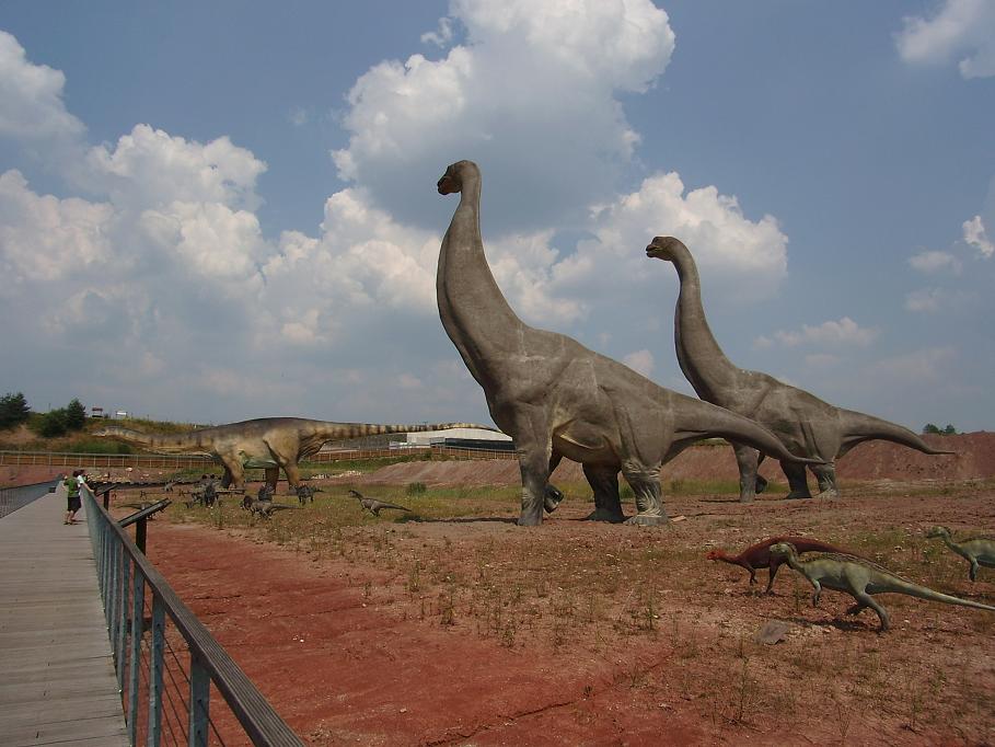 Jurapark Krasiejów - ARKA-TOUR Arkadiusz Felkle Wrocław wycieczki szkolne