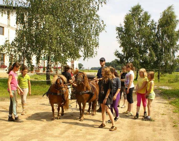 Stadnina koni - ARKA-TOUR Arkadiusz Felkle wycieczki szkolne Wrocław